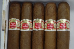 Hoyo de Monterrey Habana