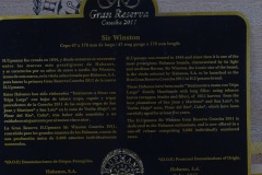15 Sir Winston parte trasera