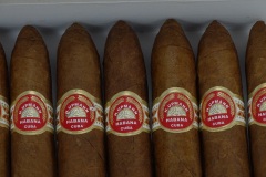 Upmann Close