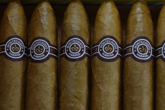Montecristo