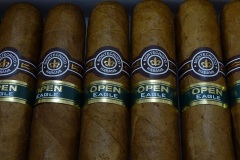 Open Eagle