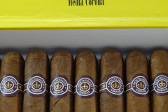 Media Corona