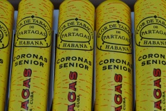 Coronas Senior