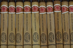 Romeo y Julieta